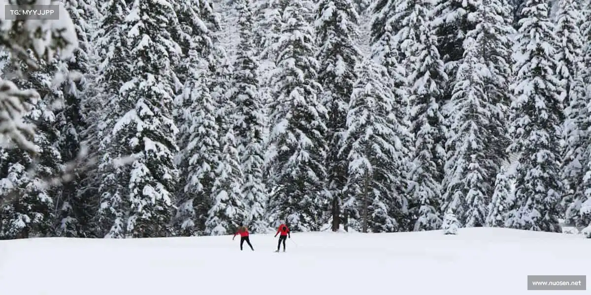 <strong>满冠官网</strong>体育不止于竞技，更是对生活的热爱与坚持！🏓❤️